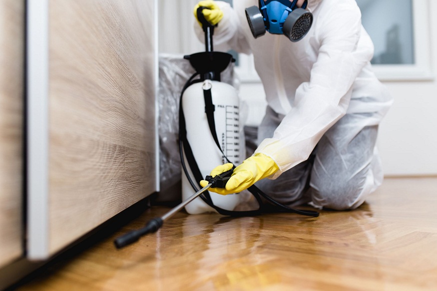 Expert Tips on Choosing The Best Pest Control Service 2022
