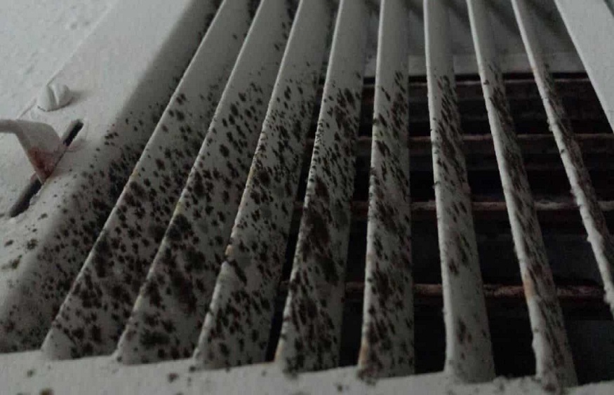 What Are The Signs Of Mold In Air Ducts?